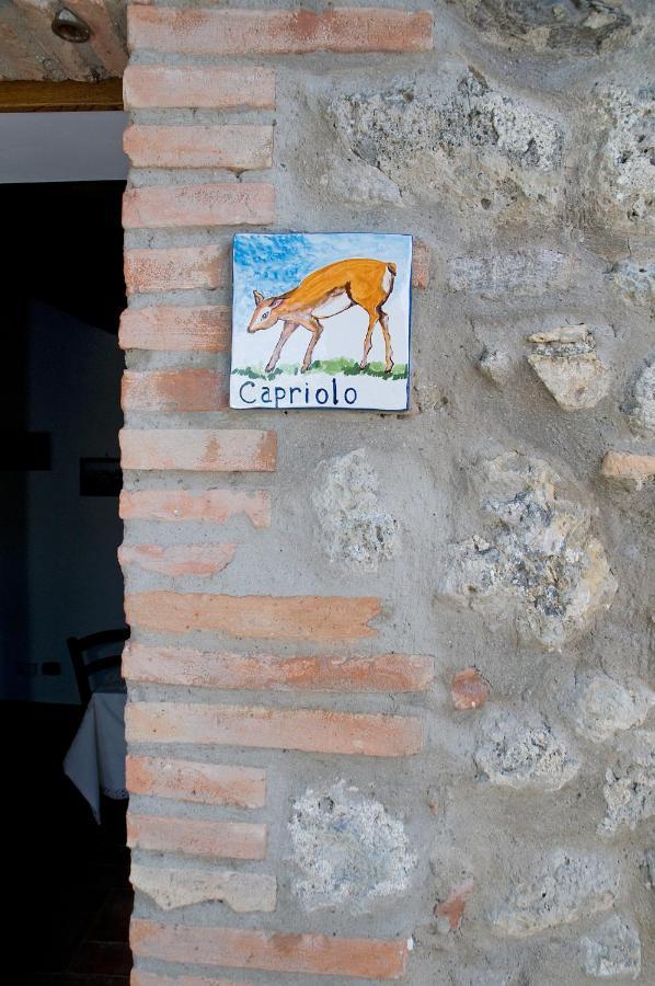 Fontesettimena Rondine- Capriolo Appartement Volterra